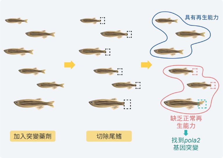 文章插圖