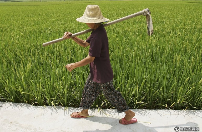 文章插圖