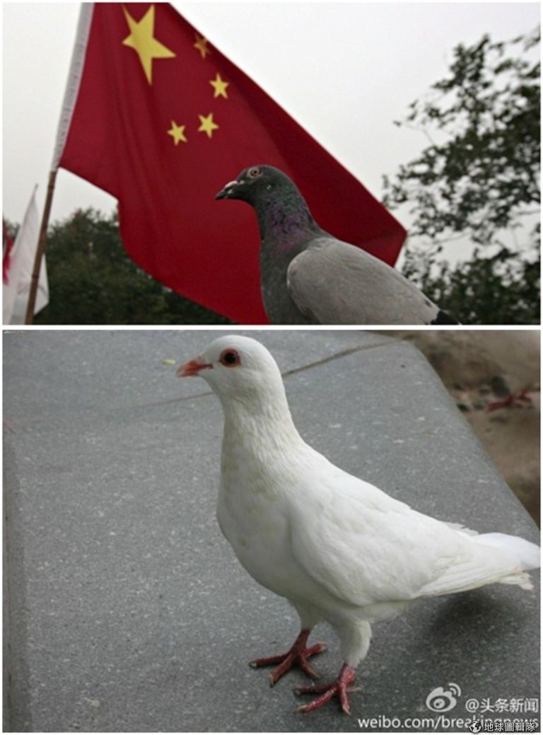 文章插圖