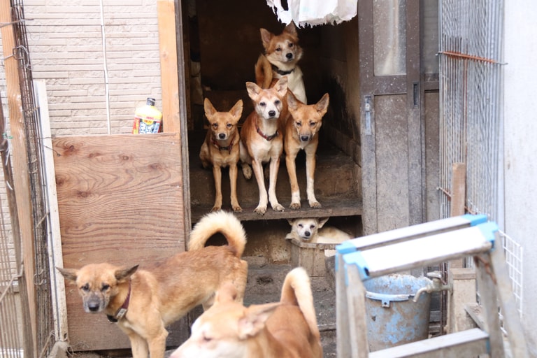 文章插圖