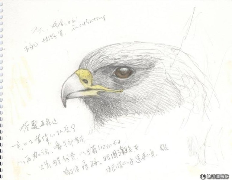 文章插圖
