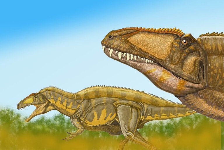 文章插圖