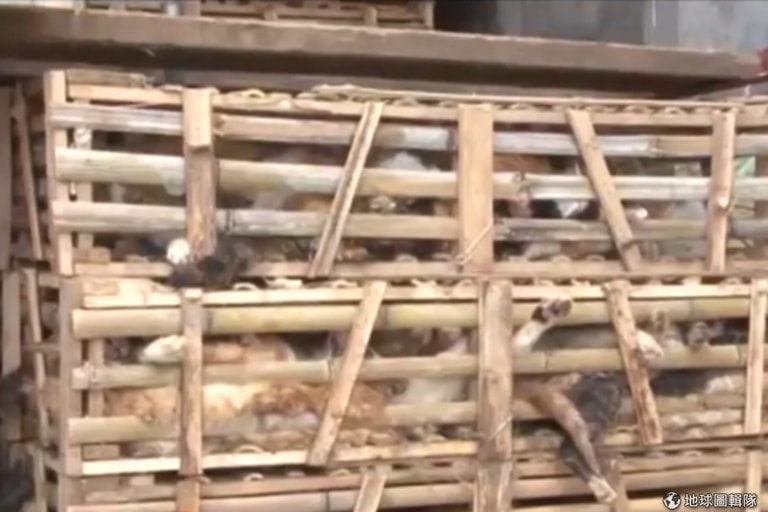文章插圖