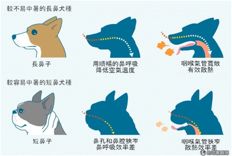 文章插圖