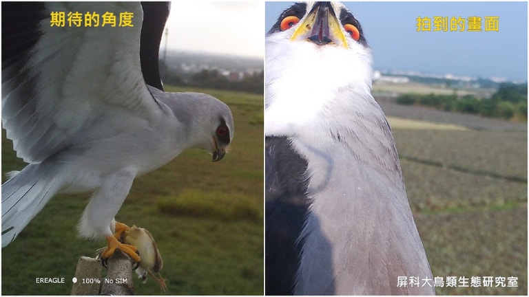 文章插圖