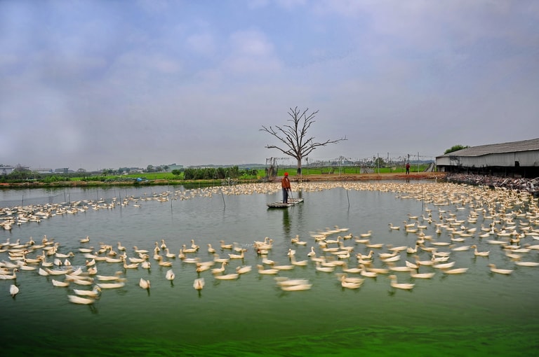 文章插圖