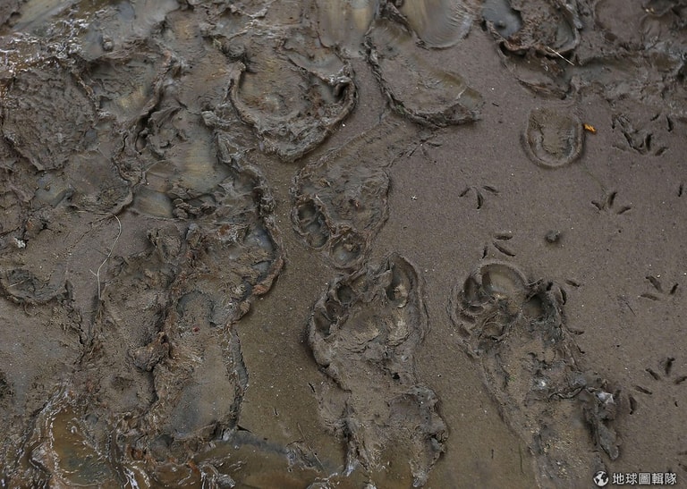 文章插圖